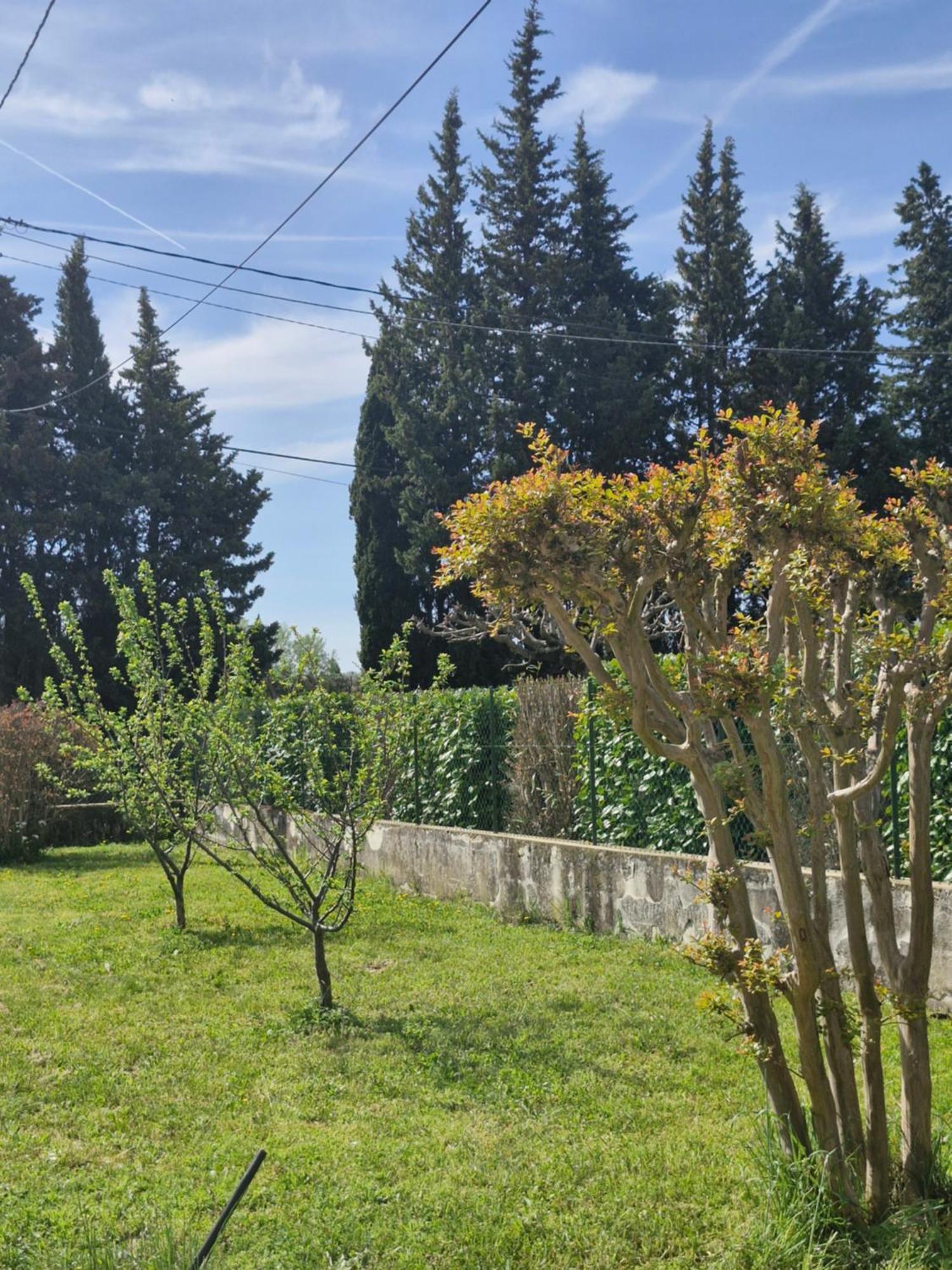 Maison Le Murier Aubignan Bagian luar foto